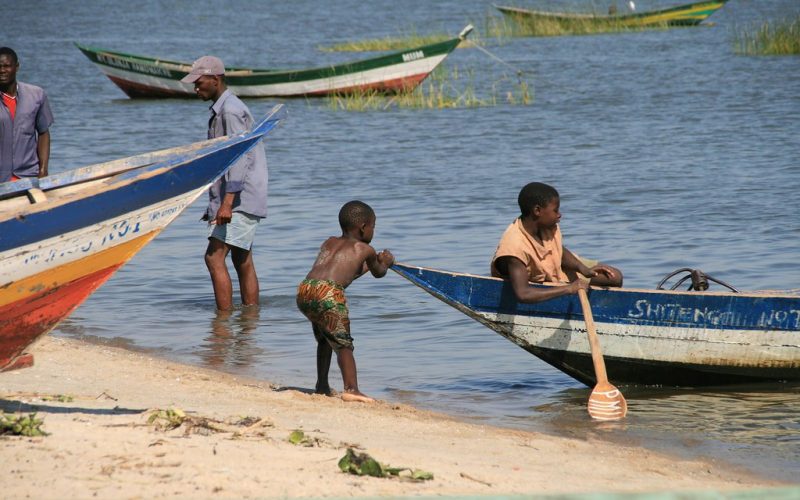 Saving Lake Victoria: The Race to Restore Africa’s Great Lake