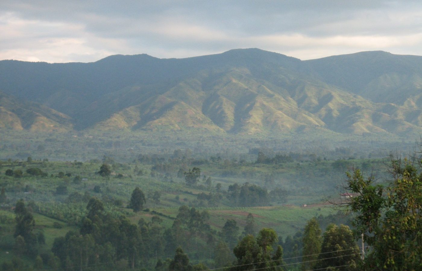The Mountains of the Moon are Calling: Inside the Rwenzori Hiking Boom