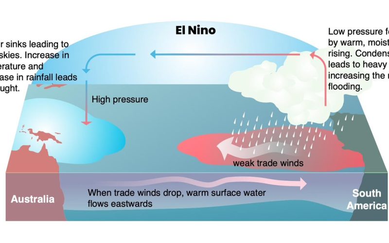 El Niño Strengthens as Pacific Warming Raises Global Weather Concerns.
