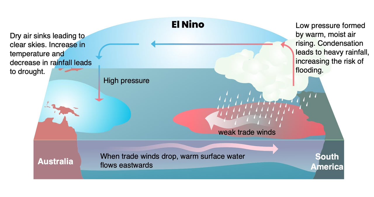El Niño Strengthens as Pacific Warming Raises Global Weather Concerns.